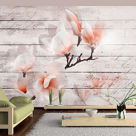 Arkiio Fototapet Subtlety Of The Magnolia of the 350x245