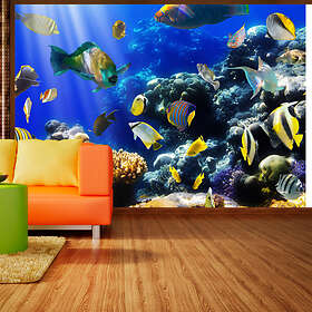 Arkiio Fototapet Underwater Adventure adventure 350x245