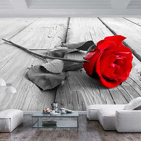 Arkiio Fototapet Abandoned Rose 300x210
