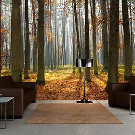 Arkiio Fototapet Autumn Trees trees 300x231