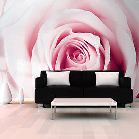 Arkiio Fototapet Rose Maze maze 300x210