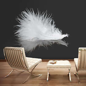 Arkiio Fototapet White Feather feather 400x309
