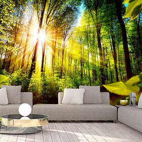 Arkiio Fototapet Forest Hideout 350x245