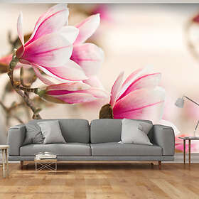 Arkiio Fototapet Branch Of Magnolia Tree of magnolia tree 300x231
