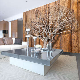 Arkiio Fototapet Knot Of Life of 350x245