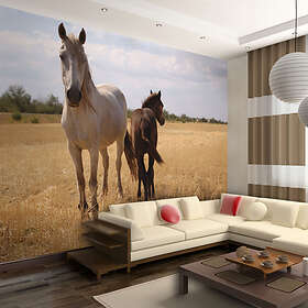 Arkiio Fototapet Horse And Foal and foal 400x309