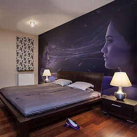 Arkiio Fototapet Love or infatuation? 450x270 cm