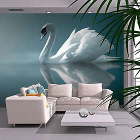 Arkiio Fototapet Vit Svan svan 300x231