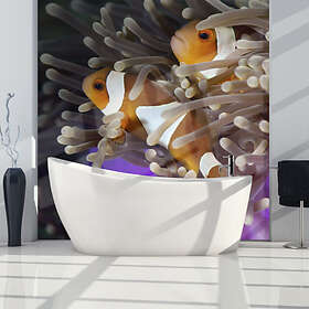 Arkiio Fototapet Clownfisk 200x154