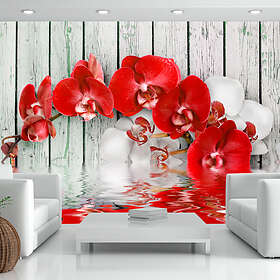 Arkiio Fototapet Ruby Orchid orchid 350x245