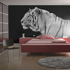 Arkiio Fototapet Vit Tiger tiger 300x231