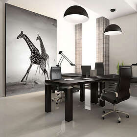 Arkiio Fototapet Giraffer 400x309
