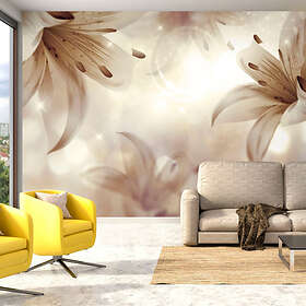 Arkiio Fototapet Gentle Symphony 300x210
