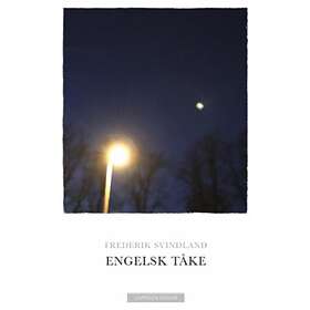 Cappelen Damm Engelsk tåke: roman boker