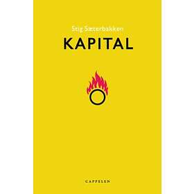 Cappelen Kapital: roman boker