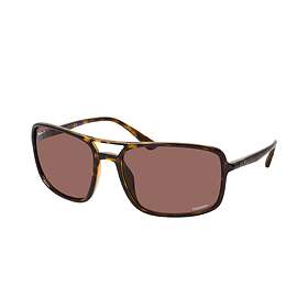 Ray-Ban RB4375 Polarized