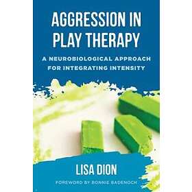 Aggression in Play Therapy