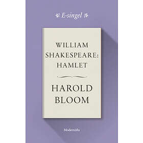 Modernista William Shakespeare: Hamlet E-bok