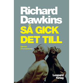 Så gick det till E-bok