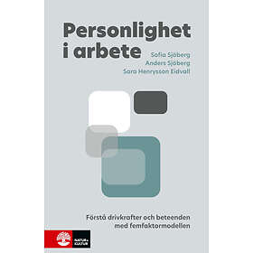 Natur & Kultur Personlighet i arbete E-bok
