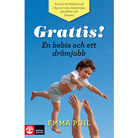 Natur & Kultur Grattis! En bebis och ett drömjobb E-bok
