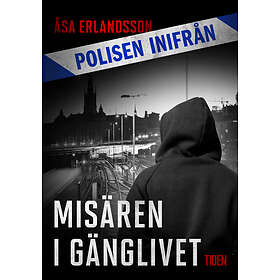 Polisen inifrån: Misären i gänglivet E-bok