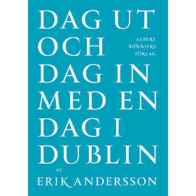 Dag ut och dag in med en i Dublin E-bok