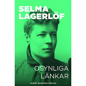 Osynliga länkar : Berättelser E-bok