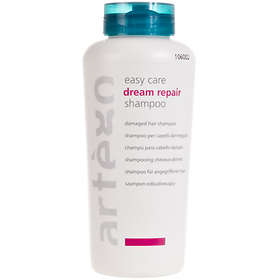 Artego Easy Care Dream Repair Shampoo 300ml