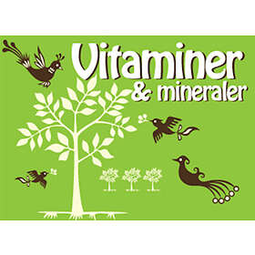 Nicotext Hälsoserien : Vitaminer och mineraler (PDF) E-bok