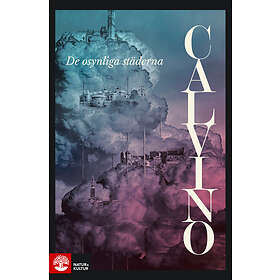 Natur & Kultur De osynliga städerna E-bok