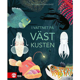 Natur & Kultur I vattnet på västkusten E-bok