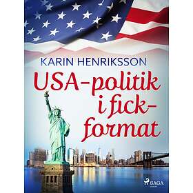 USA-politik i fickformat E-bok