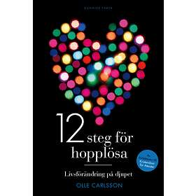 Bonnier Fakta 12 steg för hopplösa E-bok