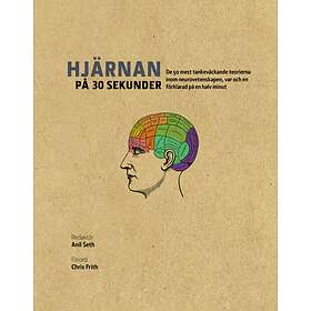Hjärnan på 30 sekunder E-bok