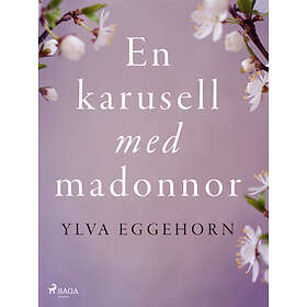 En karusell med madonnor E-bok