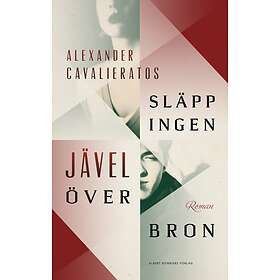 Släpp ingen jävel över bron E-bok