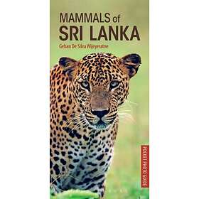 Mammals Of Sri Lanka