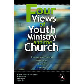 Four Views Of Youth Ministry And The Church