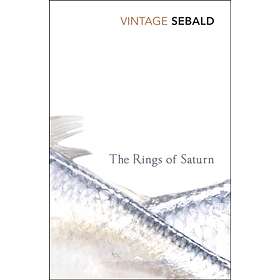 Rings Of Saturn