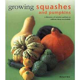 Growing Squashes And Pumpkins