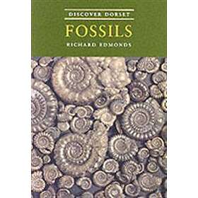 Discover Dorset Fossils