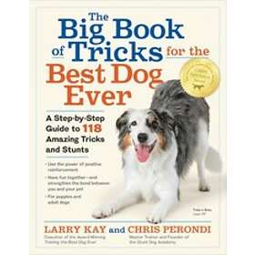 The Big Book Of Tricks For The Best Dog Ever