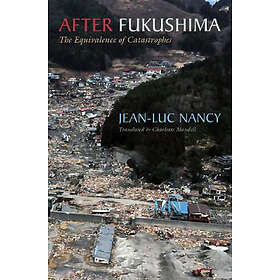 After Fukushima
