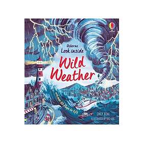 Look Inside Wild Weather