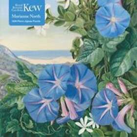 Adult Jigsaw Puzzle Kew: Marianne North: Amatungula And Blue Ipomoea,