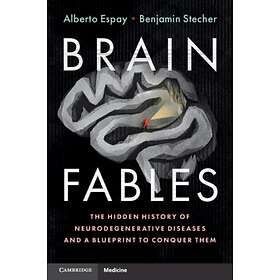 Brain Fables