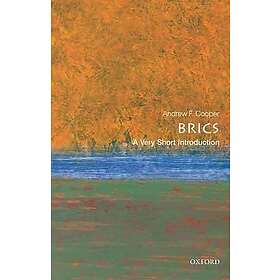 The BRICS: A Very Short Introduction