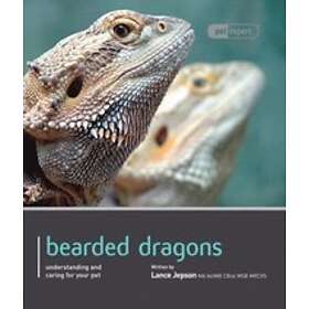 Bearded Dragon Pet Expert