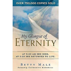 My Glimpse Of Eternity